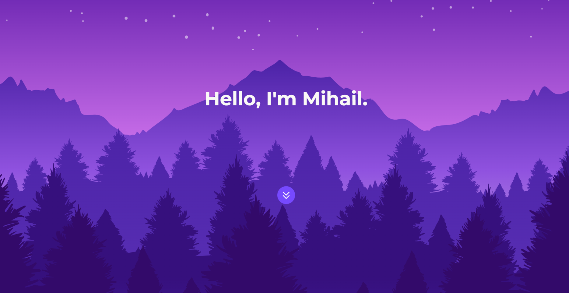 Developer Portfolio screenshot